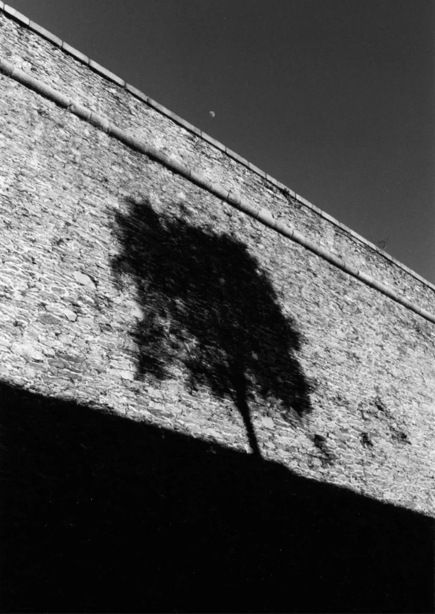 site_accueil_page5_1