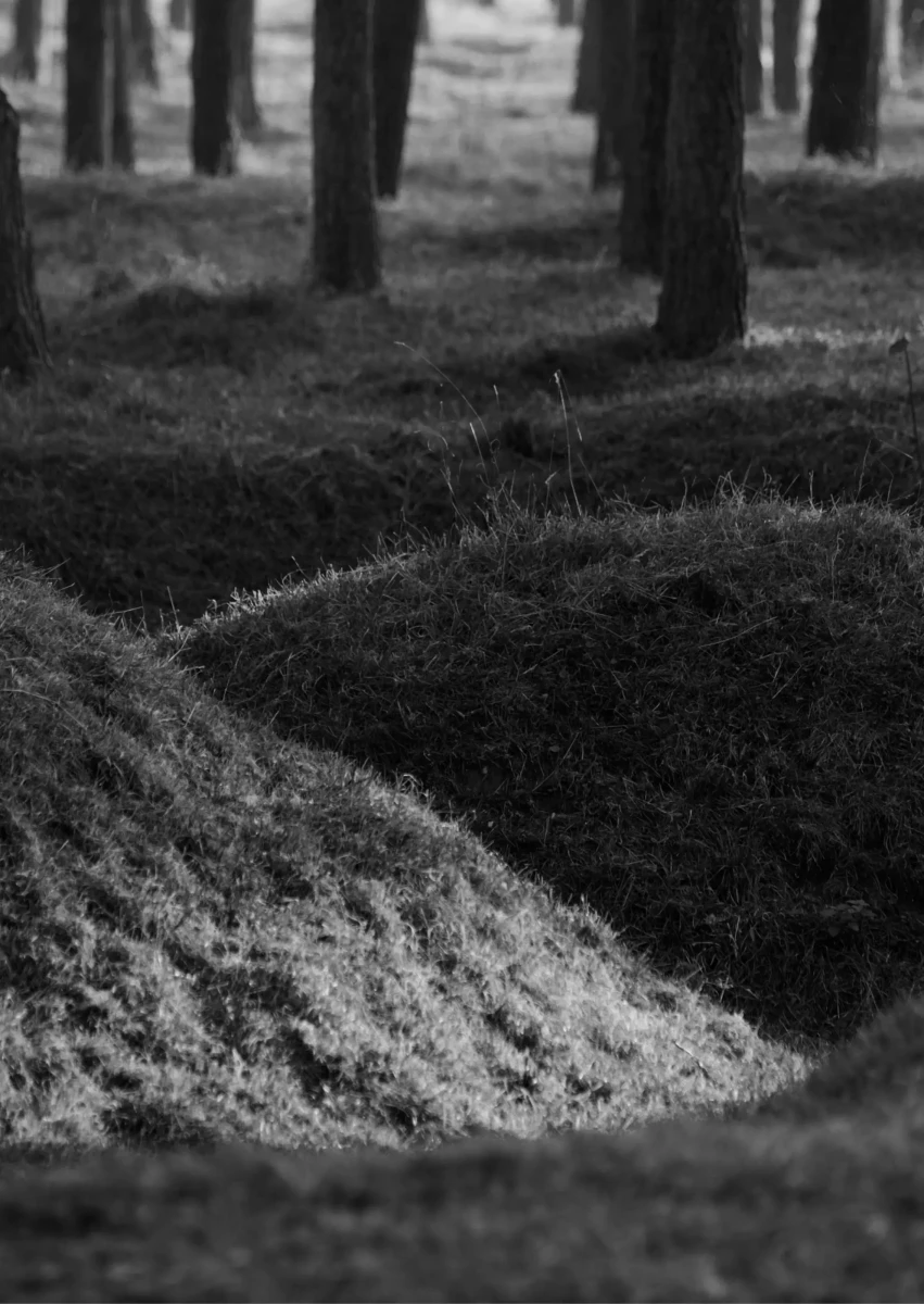 site_accueil_page1_1