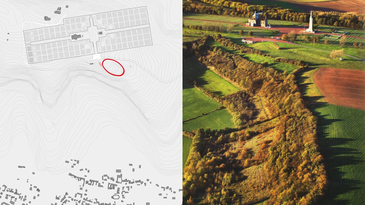 ndl-images-haut-de-page-mb-1