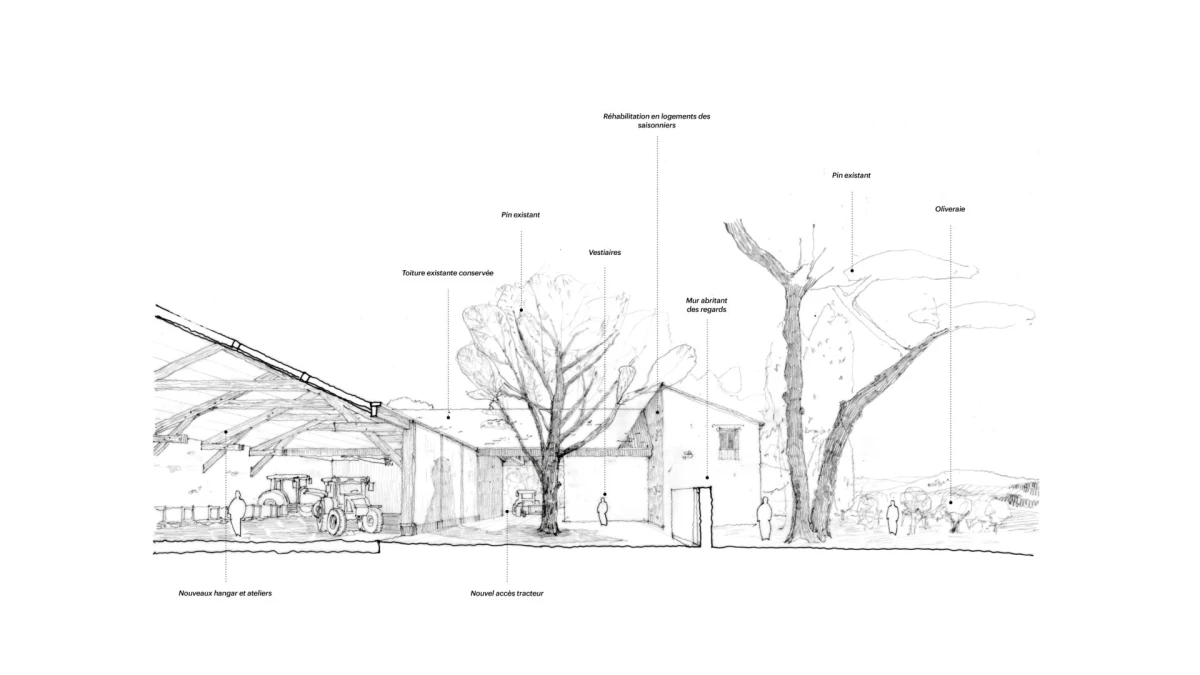 nalys-images-haut-de-page8-1920x1080