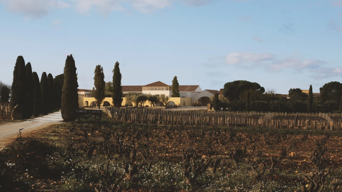 nalys-images-haut-de-page-1920x1080