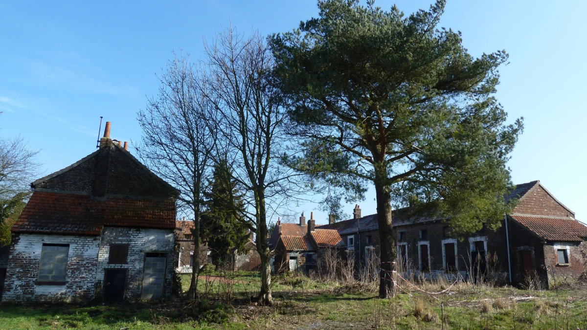 bruay-images-haut-de-page-mb5-1