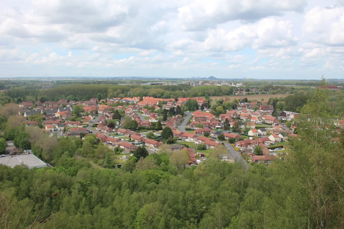 20210510-roost-terrilimg_8569