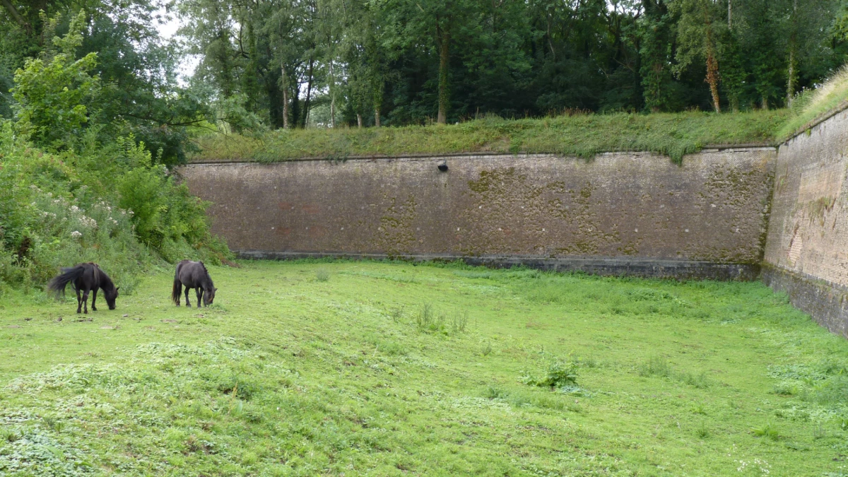 lille-citadelle-images-haut-de-page-mb10