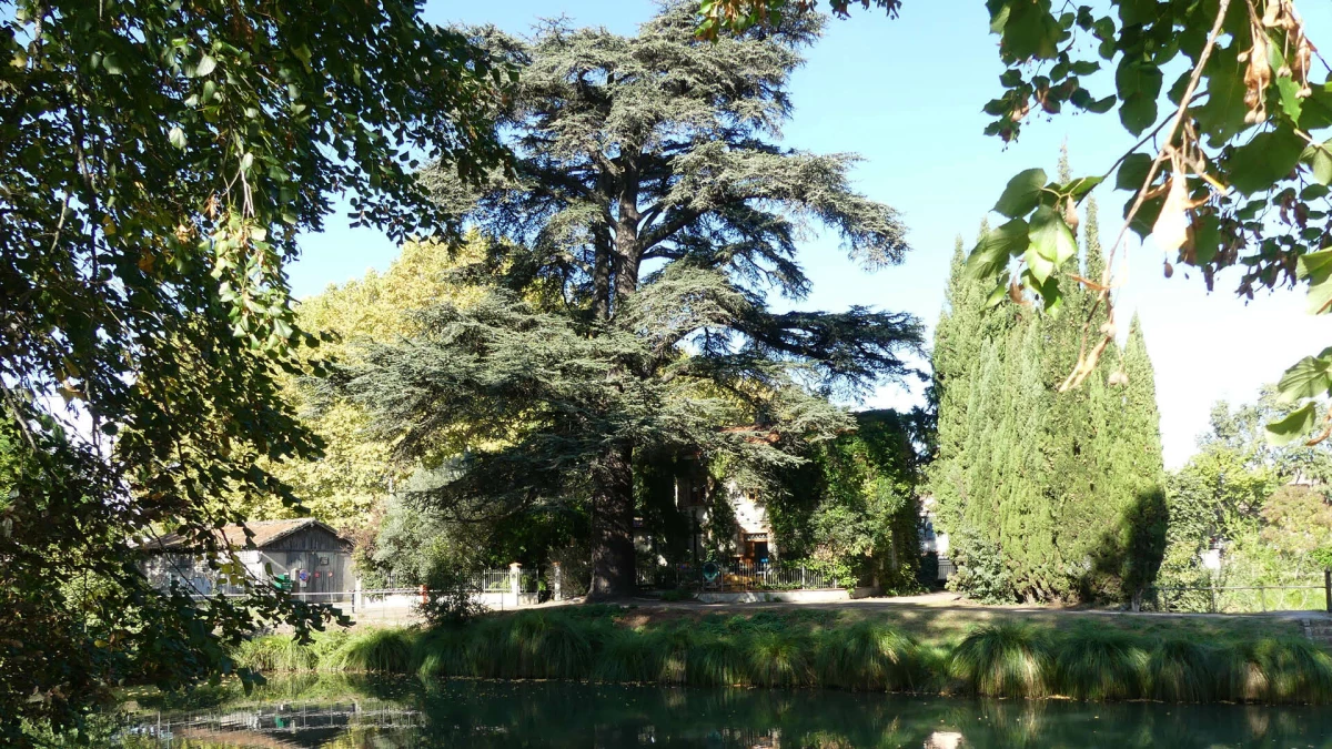 vnf-toulouse-images-haut-de-page6-1920x1080