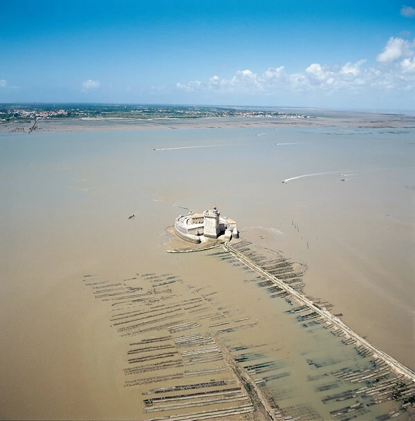 12042021_rmc_vauban_fort_chapus_georges_fessy